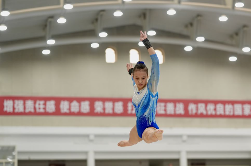澳门新葡新京线上娱乐的 fidélité 计划详解